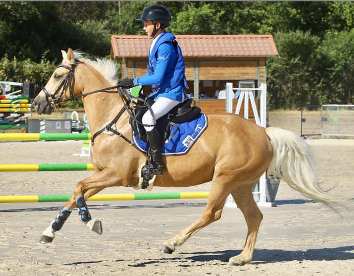 Elevage de Briacé - daphné lamotte 2019